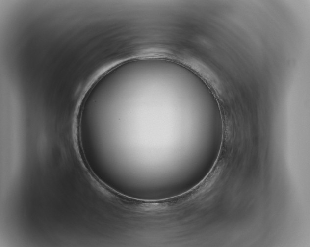 X0000102511478200808081359