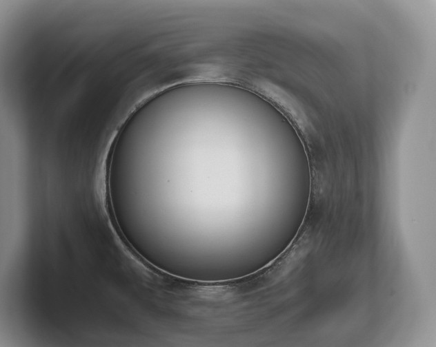 X0000102511479200808081359