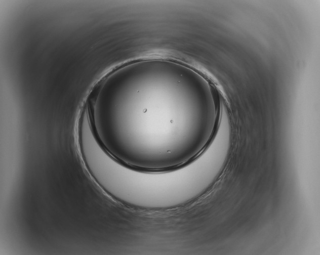 X0000102511480200808081359