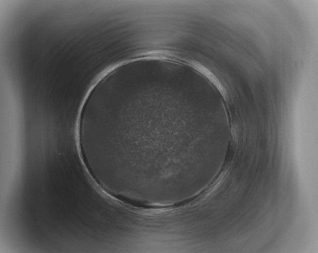X0000102511482200808081359