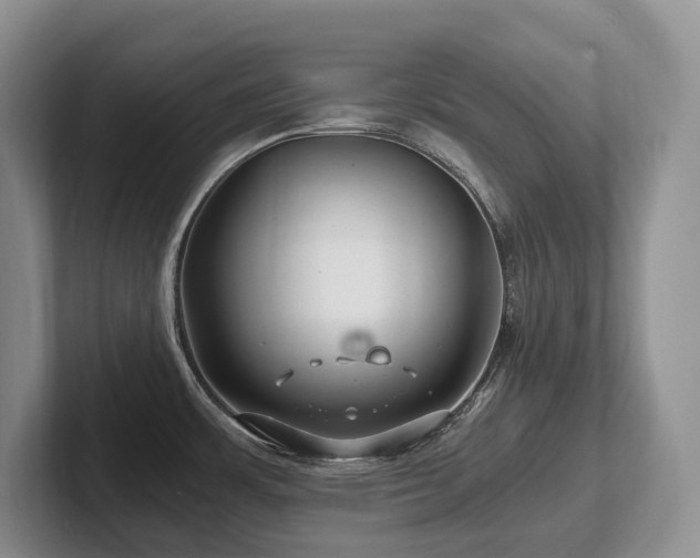 X0000102511483200808081359