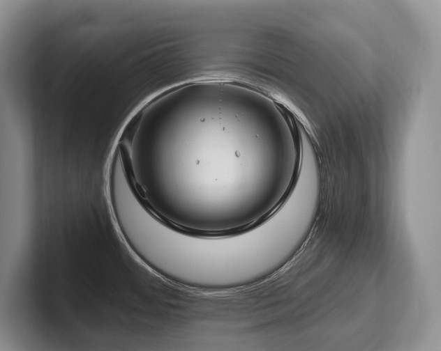 X0000102511484200808081359