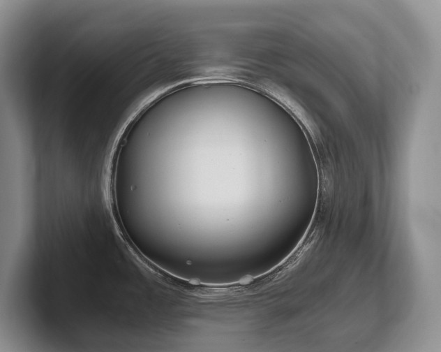 X0000102511485200808081359