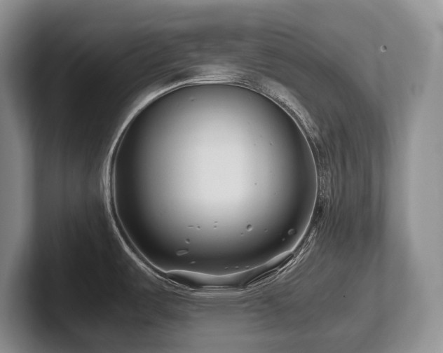 X0000102511487200808081359