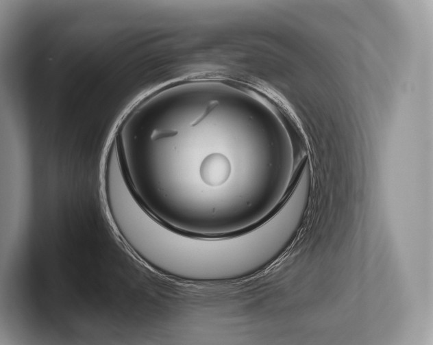 X0000102511488200808081359