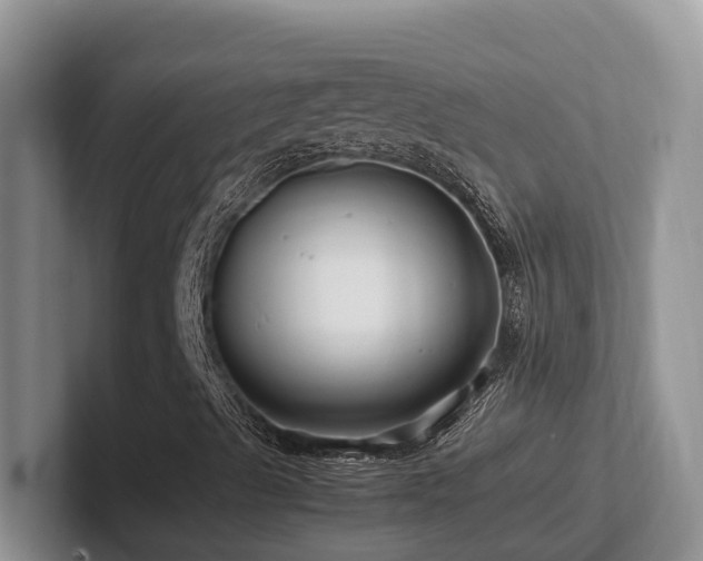 X0000102511489200808081358