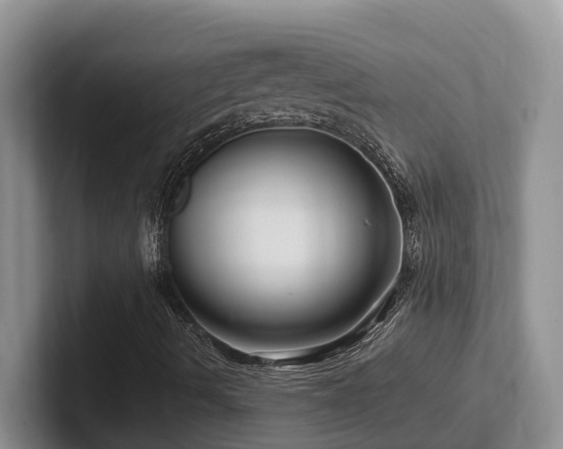 X0000102511490200808081359