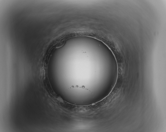 X0000102511493200808081359