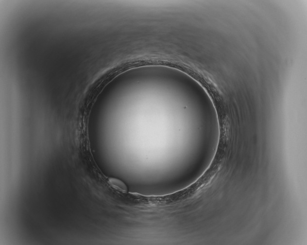 X0000102511494200808081359