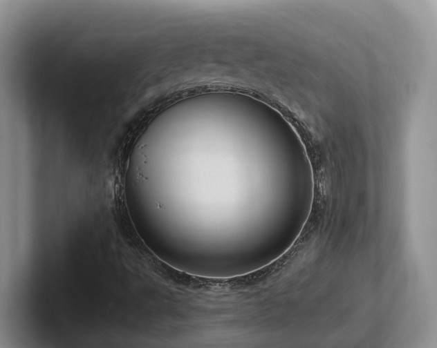 X0000102511495200808081359