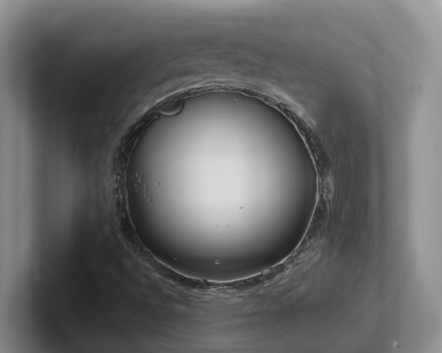 X0000102511496200808081359