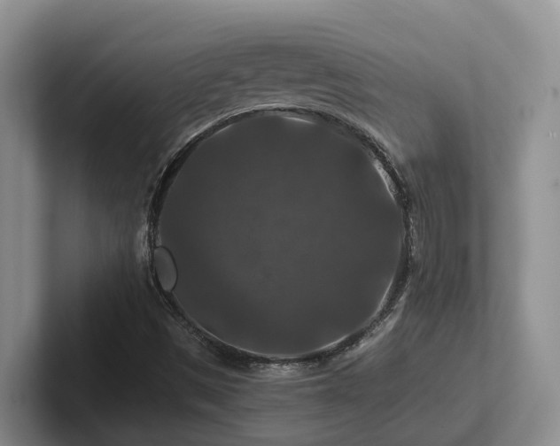 X0000102511497200808081359