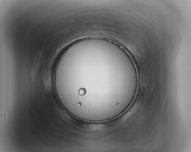 X0000102511498200808081359