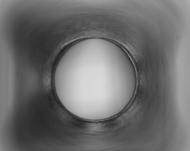 X0000102511499200808081359