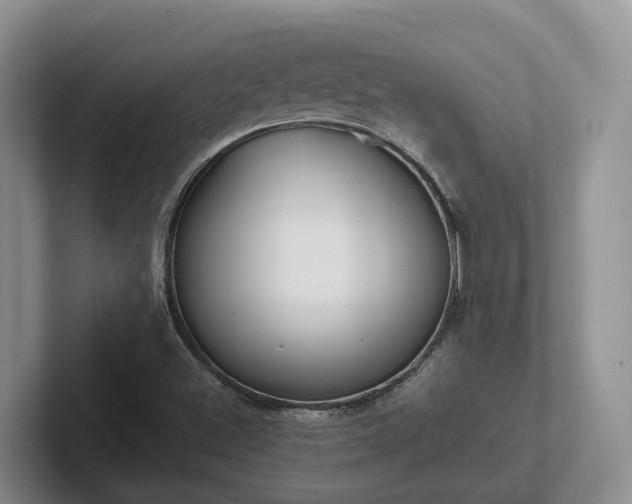 X0000102511500200808081359