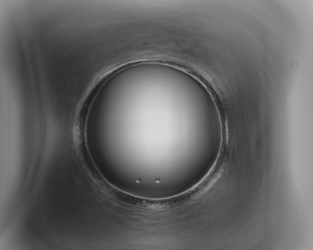 X0000102511501200808081359