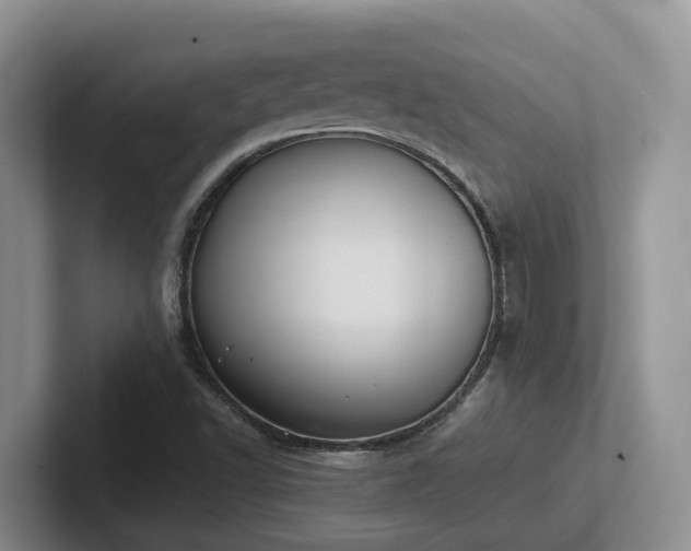 X0000102511502200808081359
