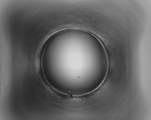 X0000102511503200808081359