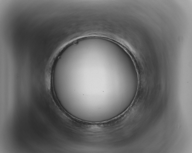 X0000102511504200808081359