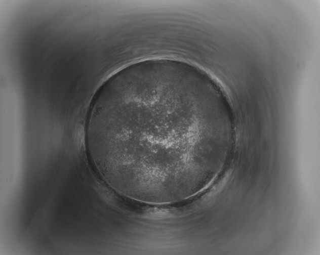 X0000102511505200808081359