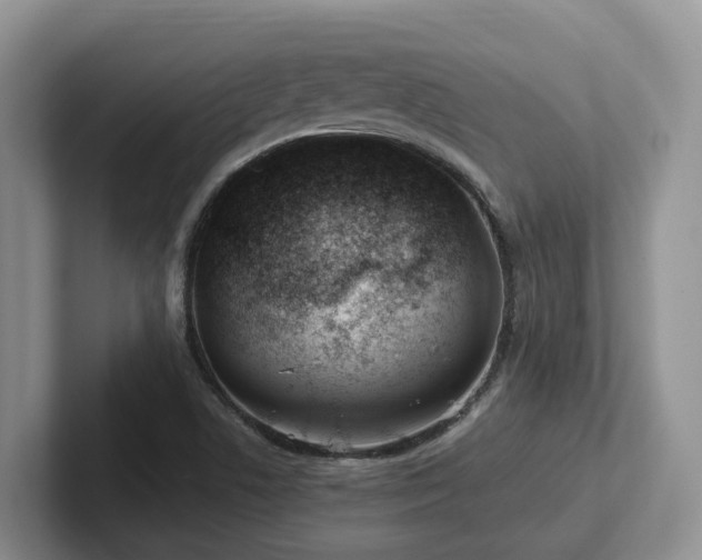 X0000102511506200808081359