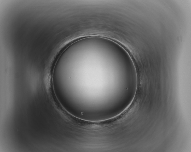 X0000102511507200808081359