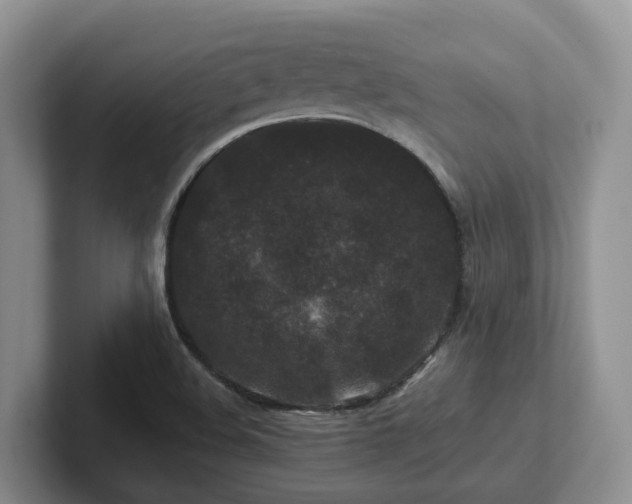 X0000102511508200808081359