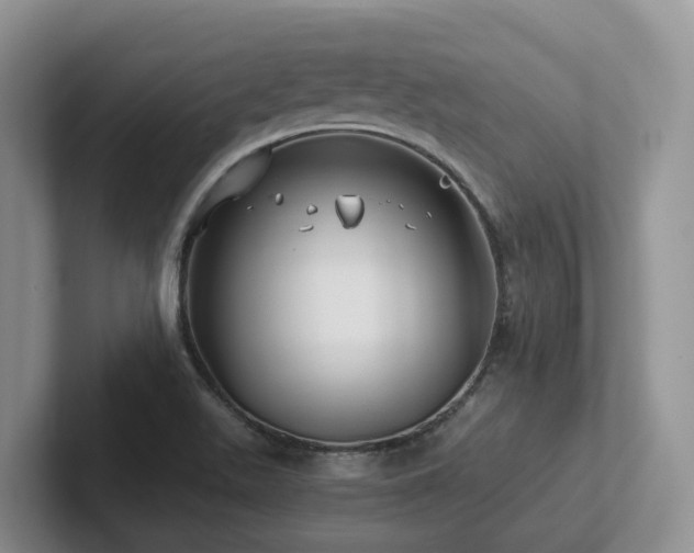 X0000102511511200808081359