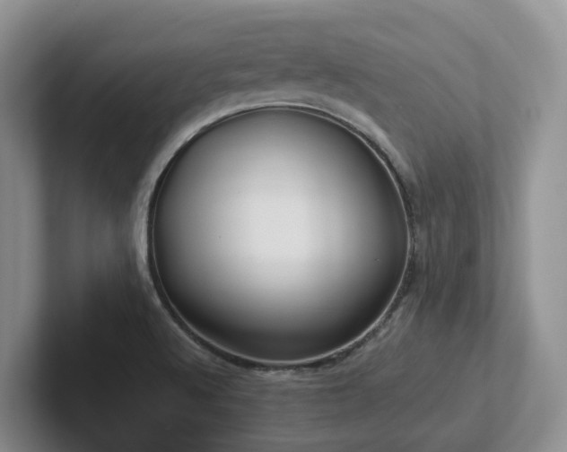 X0000102511512200808081359
