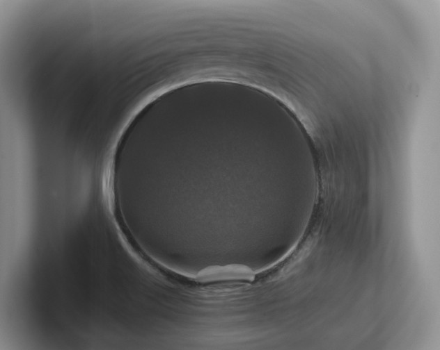 X0000102511515200808081359