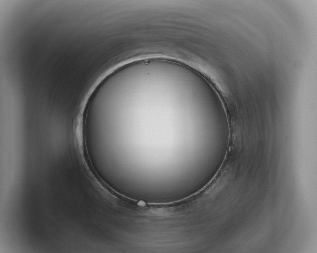 X0000102511516200808081359