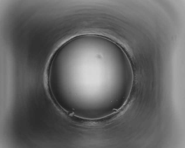 X0000102511517200808081359