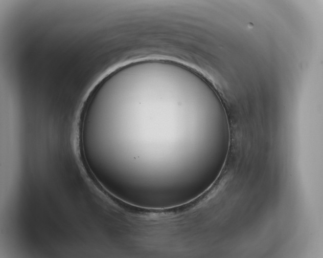 X0000102511518200808081359