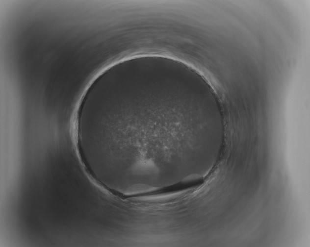 X0000102511519200808081359