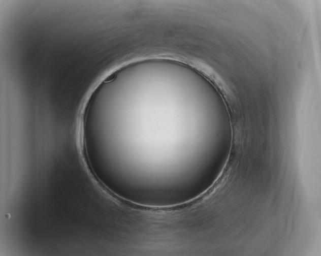 X0000102511520200808081359