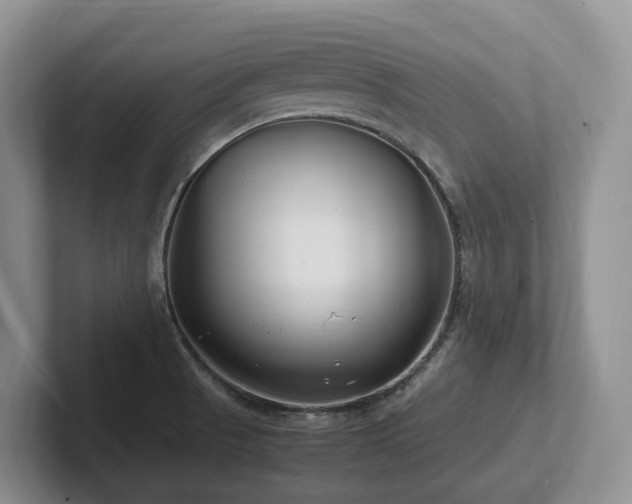 X0000102511521200808081359