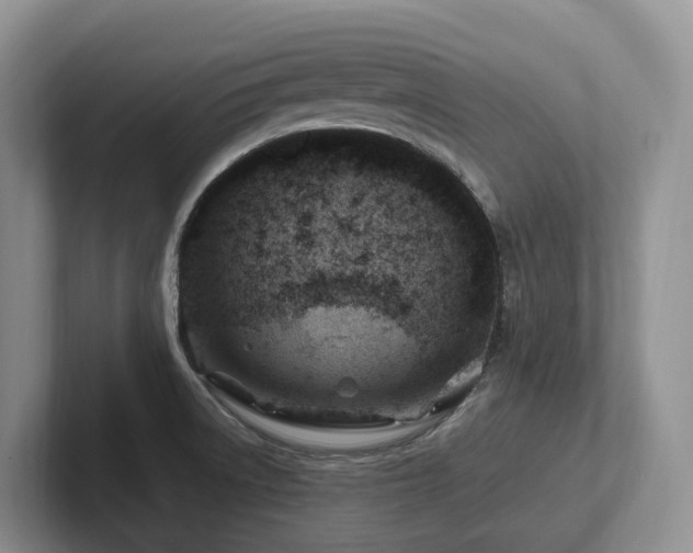 X0000102511522200808081359