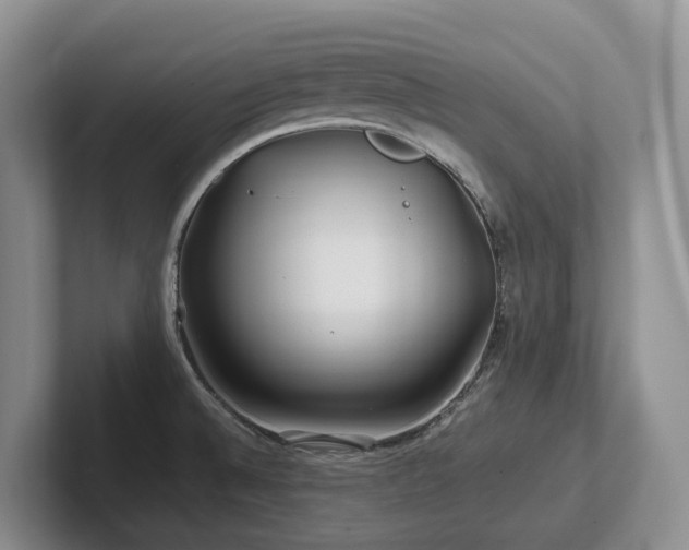 X0000102511524200808081359