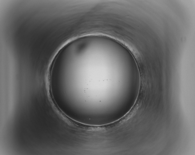 X0000102511526200808081359