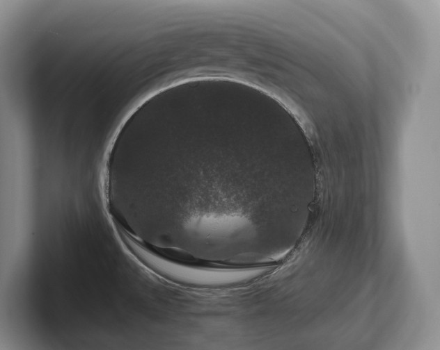 X0000102511527200808081359