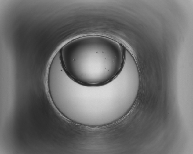 X0000102511528200808081359