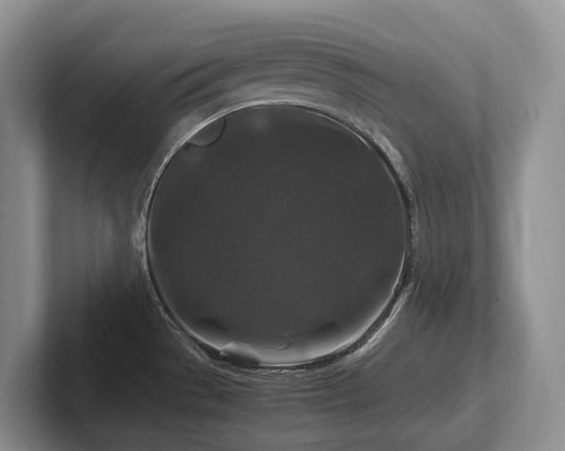 X0000102511529200808081359