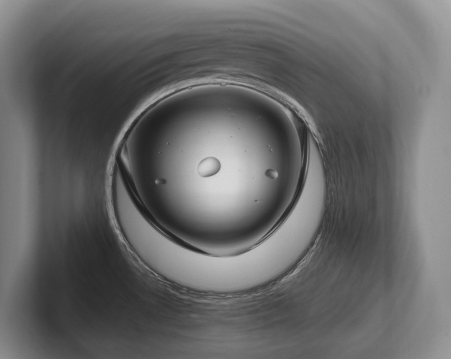 X0000102511530200808081359