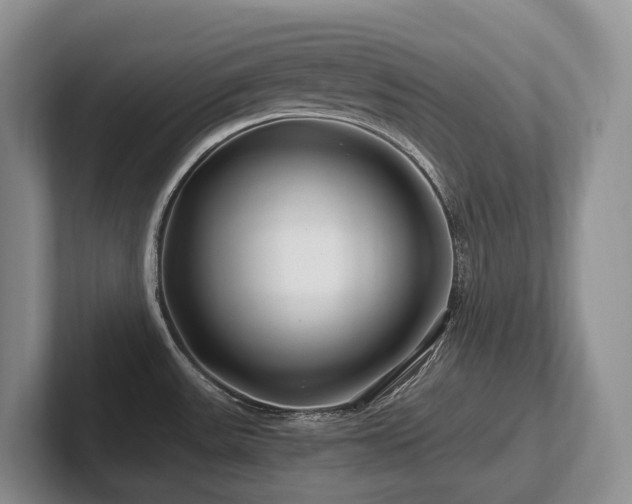 X0000102511531200808081359