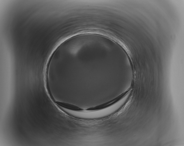 X0000102511533200808081359