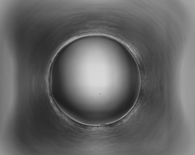 X0000102511534200808081359