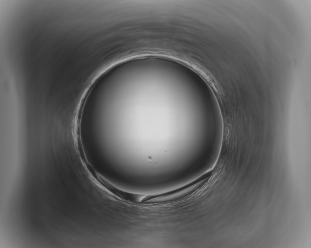 X0000102511535200808081359