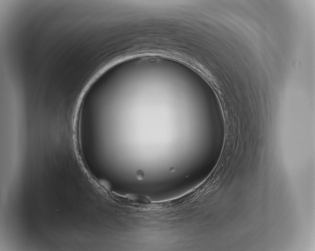 X0000102511536200808081359