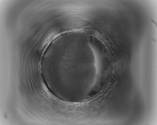 X0000102510002200808151558