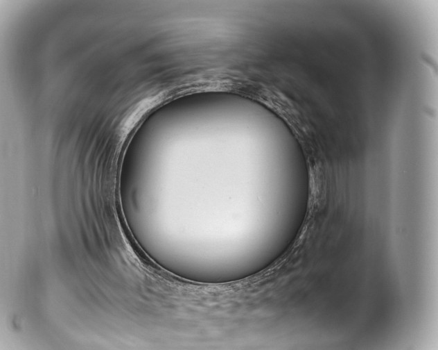 X0000102510003200808151558
